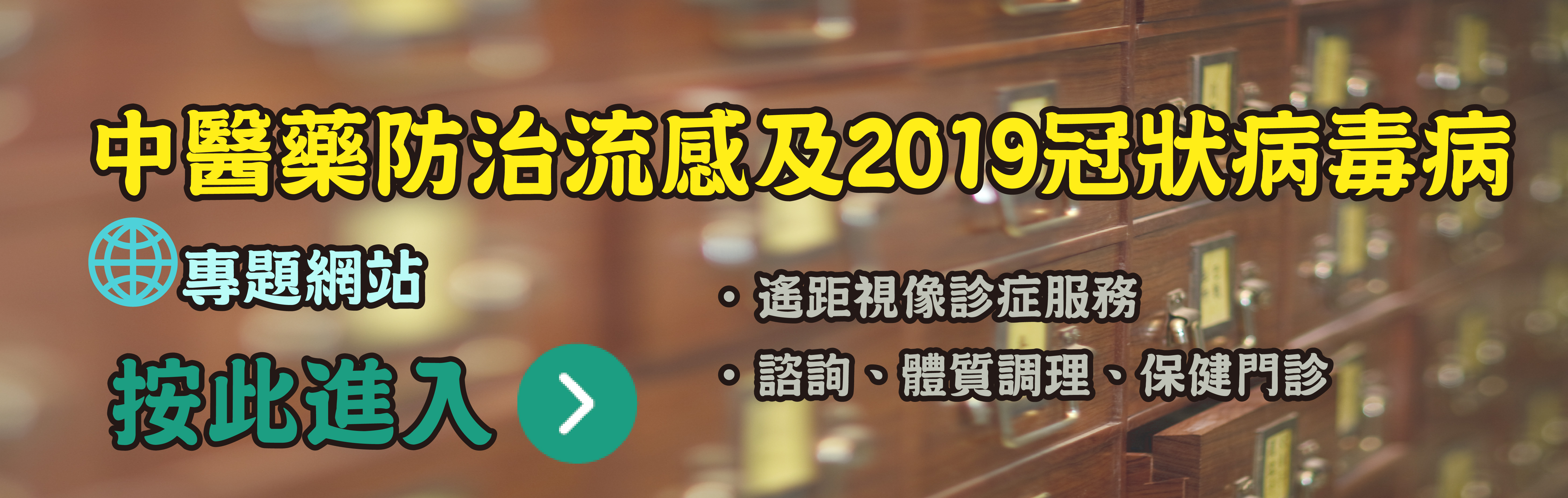 2019 influenza